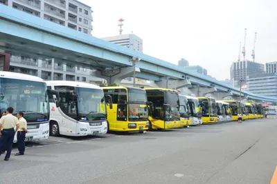 DSC_3426 (Large).JPG